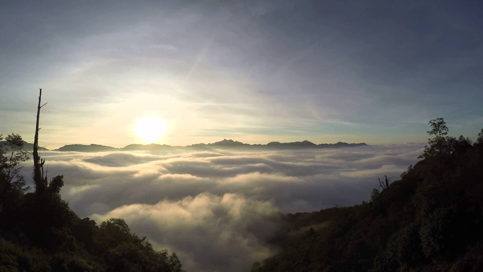 Alishan National Scenic Area